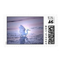 Egret on Pastel postage by DGATOR383 Egret on Pastel postage