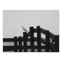 Egret on Rails Photo