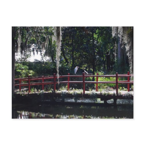 Egret on a Red Bridge. An egret perches on a red bridge in a cypress swamp in a South Carolina botanical garden. Spanish moss hangs from the trees.