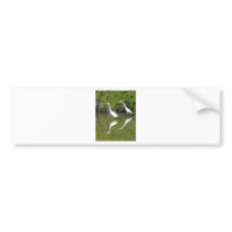 Egret Partners bumper stickers