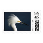 Egret Portrait Postage Stamp