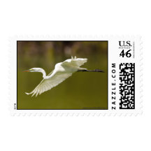 Egret Postage Stamps