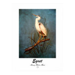 Egret Egret