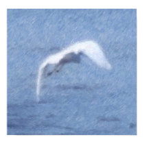 Egret Poster posters