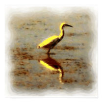 Egret Poster posters