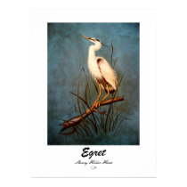 Egret posters
