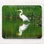 Egret, Rio Oscuro, Lago Izabal, Guatemala Mouse Pad