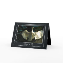 Egret Spreading Wings on Water Greeting Card