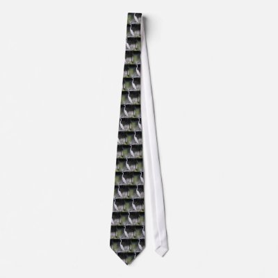 Egret Custom Tie by zoespeak
