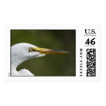 Egret up close stamps
