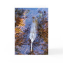 Egret's Feather cards by moonrisings Egret's Feather cards