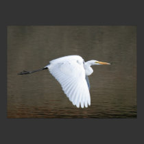 "Egret's Flight" posters