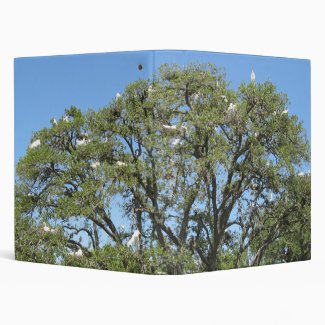 Egrets in a Tree Avery Binder