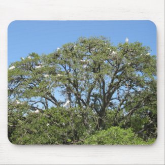 Egrets in a tree mousepad