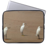Egrets Loitering on Beach Laptop Computer Sleeves