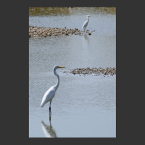Egret's Perspective posters