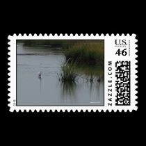 Egrets Postage stamps