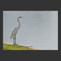 "Egret's View" posters
