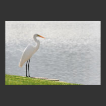 "Egret's View" posters