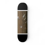 Egrets Wetlands Skateboard