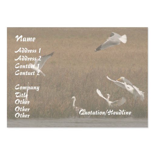 Egrets Wildlife Business Card