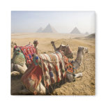 cairo, ancient, pyramid, middle east, nobody,