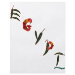 Egypt Chili Peppers flyers