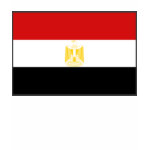 Egypt Flag Map Spaghetti Top