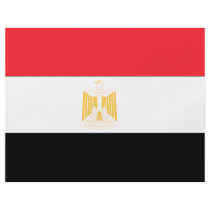 Egypt Flag flyers by flagshirts Egypt Flag flyers