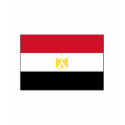 Egypt FLAG International shirt