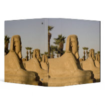 Egypt, Luxor. The Avenue of Sphinxes leads to Vinyl Binder