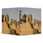 Egypt, Luxor. The Avenue of Sphinxes leads to binders