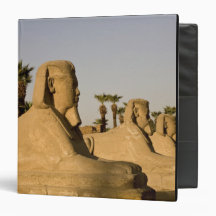 Egypt, Luxor. The Avenue of Sphinxes leads to Vinyl Binder