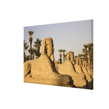 Egypt, Luxor. The Avenue of Sphinxes leads to Canvas Prints