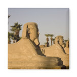 statue, luxor, ancient, middle east, africa,