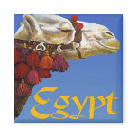 Egypt Refrigerator Magnet