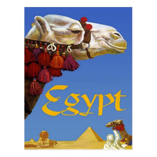 Egypt Post Card