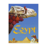 Egypt Post Card