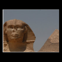 Egypt Postcard postcards
