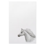 Egyptian Arabian Horse Stationery