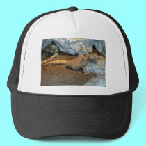 Egyptian Dab Lizard hats by Artists4God Egyptian Dab Lizard hats