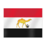 Egyptian desert camel soccer ball flag post cards