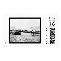 Egyptian Desert Encampment With Camels 1872 postage by lc_vintagephotos Egyptian Desert Encampment With Camels 1872 postage