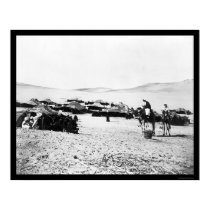 Egyptian Desert Encampment With Camels 1872 posters by lc_vintagephotos Egyptian Desert Encampment With Camels 1872 posters