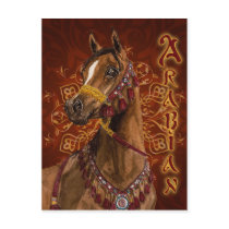 Egyptian Dream Arabian horse postcard by Fine_Art_of_Morgane Egyptian Dream Arabian horse postcard