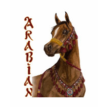 Egyptian Dream Arabian horse tee-shirt by Fine_Art_of_Morgane Egyptian Dream Arabian horse tee-shirt