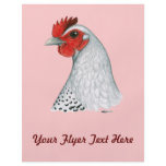 Egyptian Fayoumi:  Silver Hen flyers