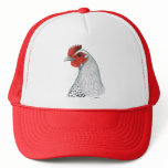 Egyptian Fayoumi:  Silver Hen hats