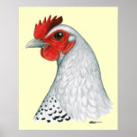 Egyptian Fayoumi:  Silver Hen posters