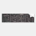 Egyptian Hieroglyphs Bumper Sticker